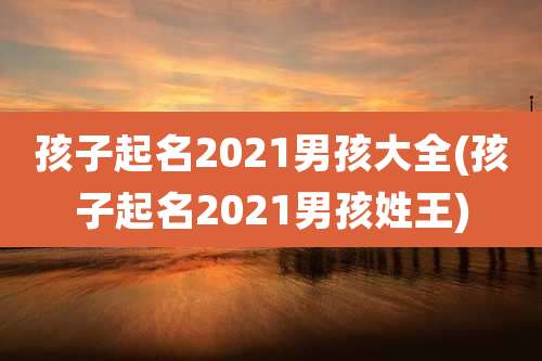 孩子起名2021男孩大全(孩子起名2021男孩姓王)