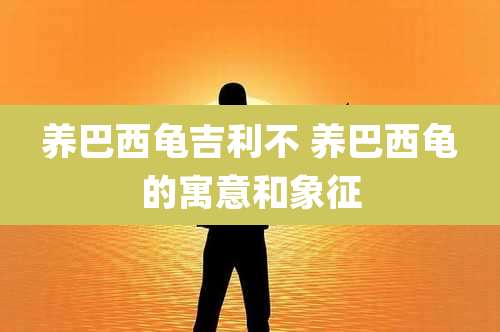 养巴西龟吉利不 养巴西龟的寓意和象征