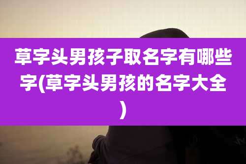 草字头男孩子取名字有哪些字(草字头男孩的名字大全)