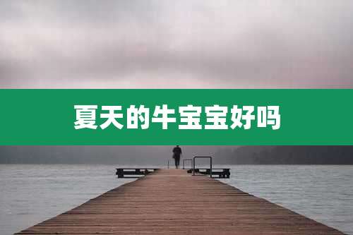 夏天的牛宝宝好吗