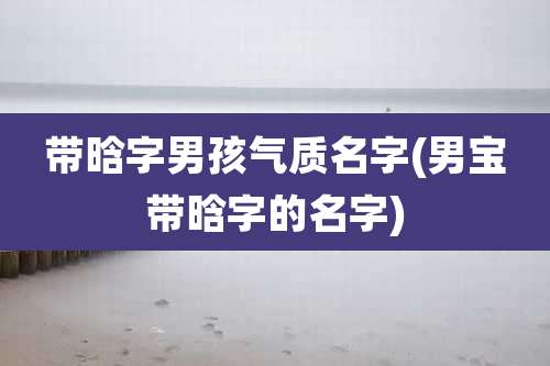 带晗字男孩气质名字(男宝带晗字的名字)