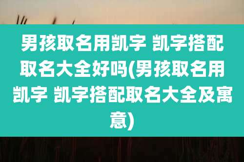 男孩取名用凯字 凯字搭配取名大全好吗(男孩取名用凯字 凯字搭配取名大全及寓意)