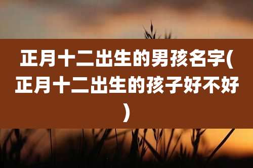正月十二出生的男孩名字(正月十二出生的孩子好不好)