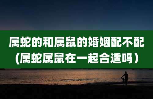属蛇的和属鼠的婚姻配不配(属蛇属鼠在一起合适吗）