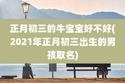 正月初三的牛宝宝好不好(2021年正月初三出生的男孩取名)