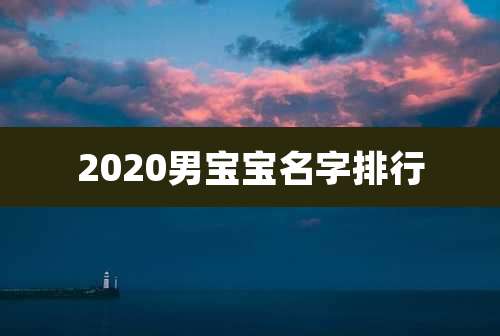 2020男宝宝名字排行