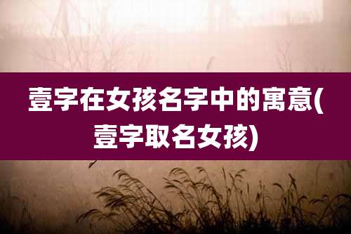 壹字在女孩名字中的寓意(壹字取名女孩)