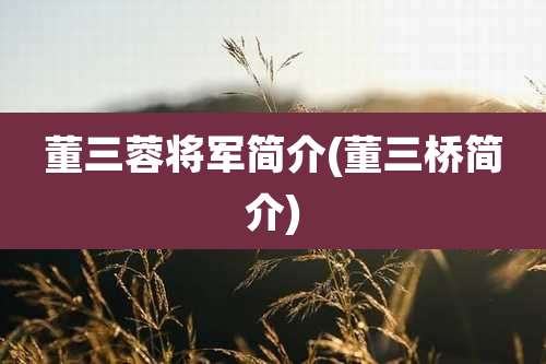 董三蓉将军简介(董三桥简介)