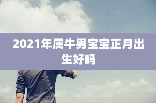 2021年属牛男宝宝正月出生好吗