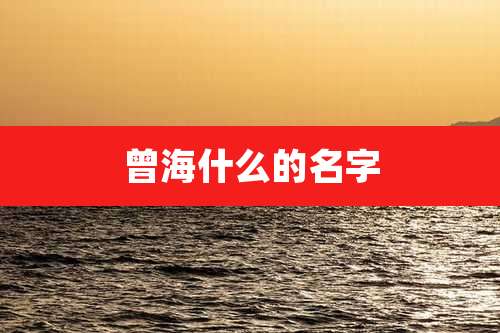 曾海什么的名字