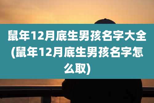 鼠年12月底生男孩名字大全(鼠年12月底生男孩名字怎么取)