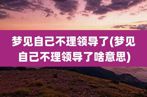 梦见自己不理领导了(梦见自己不理领导了啥意思)