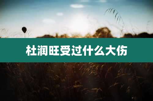 杜润旺受过什么大伤