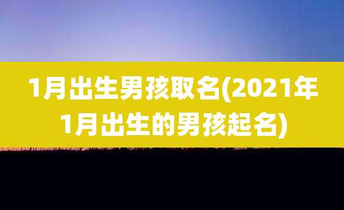 1月出生男孩取名(2021年1月出生的男孩起名)
