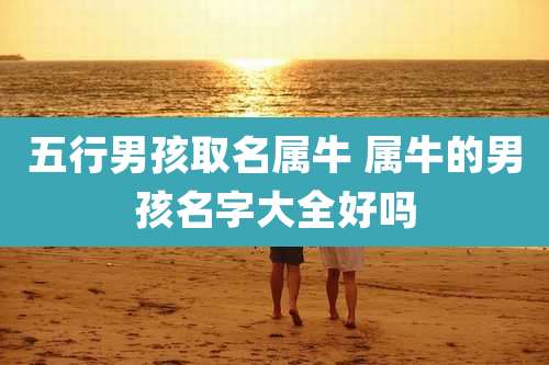 五行男孩取名属牛 属牛的男孩名字大全好吗