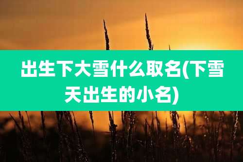 出生下大雪什么取名(下雪天出生的小名)