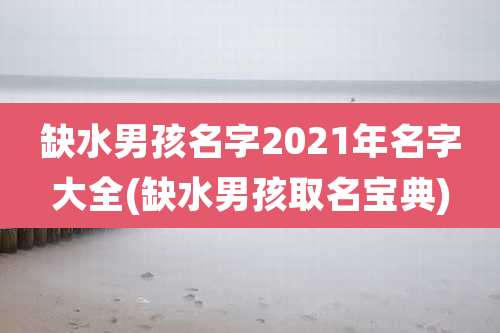缺水男孩名字2021年名字大全(缺水男孩取名宝典)