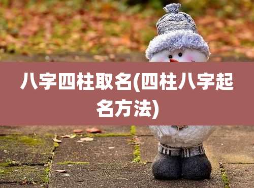 八字四柱取名(四柱八字起名方法)
