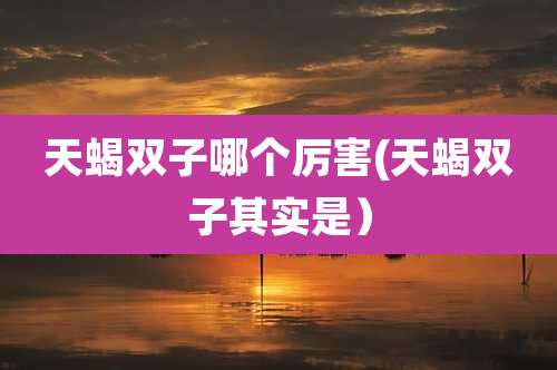 天蝎双子哪个厉害(天蝎双子其实是）