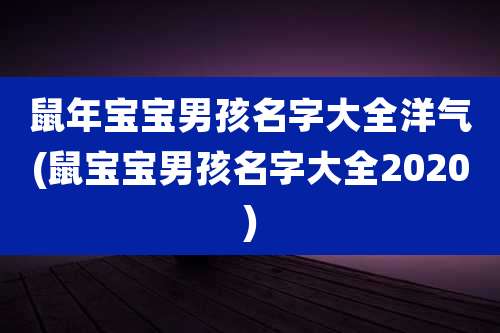 鼠年宝宝男孩名字大全洋气(鼠宝宝男孩名字大全2020)