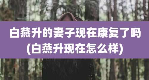 白燕升的妻子现在康复了吗(白燕升现在怎么样)