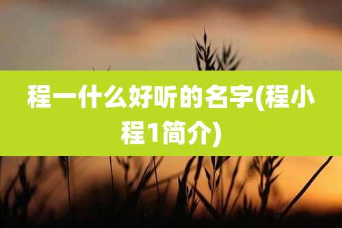 程一什么好听的名字(程小程1简介)