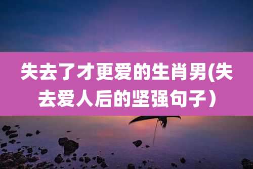 失去了才更爱的生肖男(失去爱人后的坚强句子）