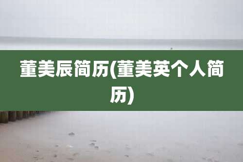 董美辰简历(董美英个人简历)