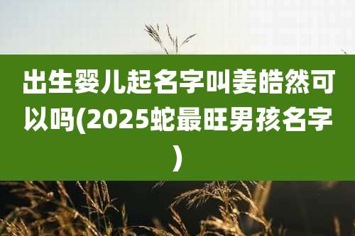 出生婴儿起名字叫姜皓然可以吗(2025蛇最旺男孩名字)