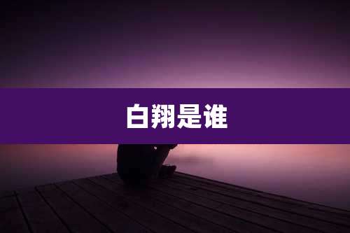 白翔是谁