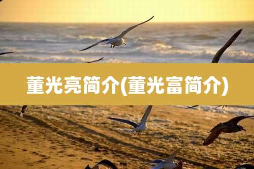 董光亮简介(董光富简介)