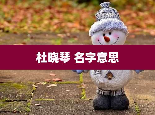 杜晓琴 名字意思