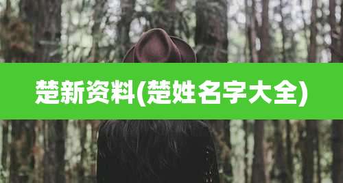 楚新资料(楚姓名字大全)
