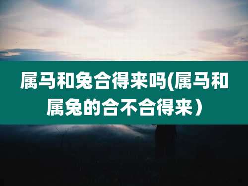 属马和兔合得来吗(属马和属兔的合不合得来)
