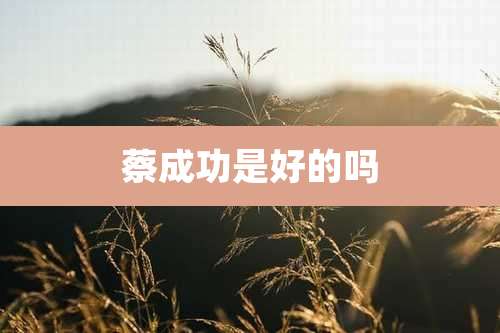 蔡成功是好的吗