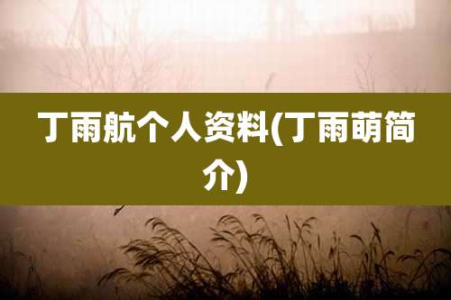 丁雨航个人资料(丁雨萌简介)