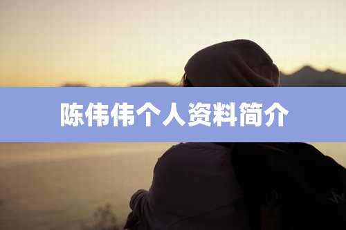 陈伟伟个人资料简介