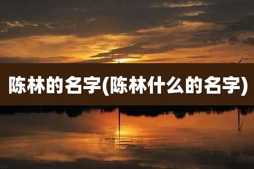 陈林的名字(陈林什么的名字)