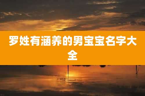 罗姓有涵养的男宝宝名字大全