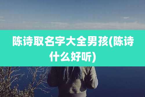 陈诗取名字大全男孩(陈诗什么好听)