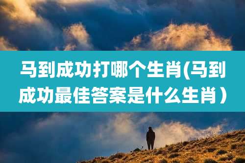 马到成功打哪个生肖(马到成功最佳答案是什么生肖）