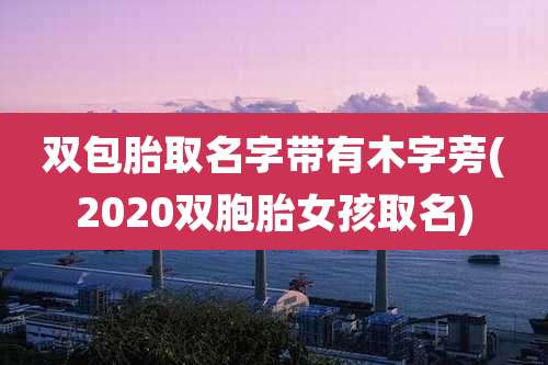 双包胎取名字带有木字旁(2020双胞胎女孩取名)