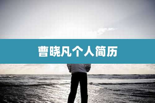 曹晓凡个人简历