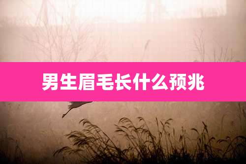 男生眉毛长什么预兆