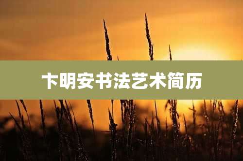 卞明安书法艺术简历