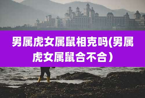 男属虎女属鼠相克吗(男属虎女属鼠合不合）