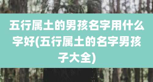 五行属土的男孩名字用什么字好(五行属土的名字男孩子大全)