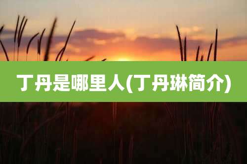 丁丹是哪里人(丁丹琳简介)