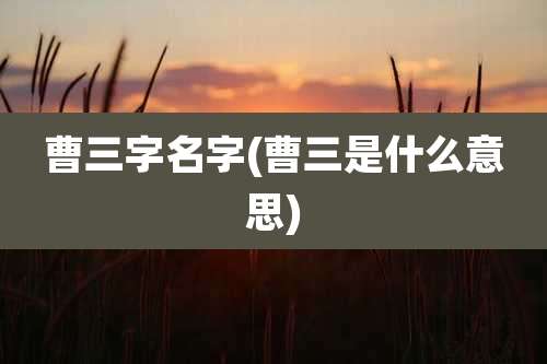 曹三字名字(曹三是什么意思)