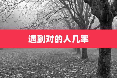 遇到对的人几率